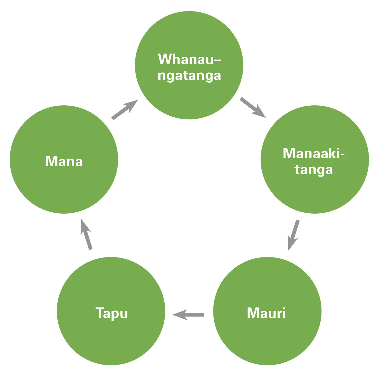 Māori Concepts