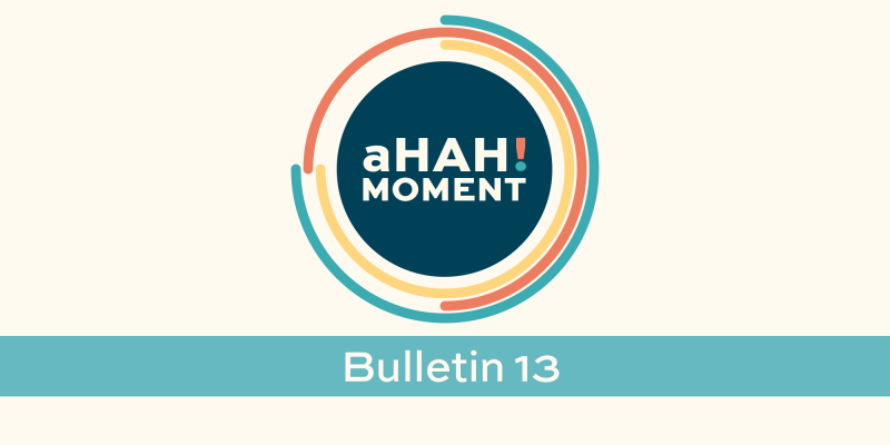 Bulletin 13