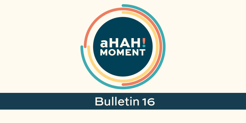 Bulletin 16